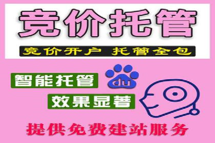 百度推广平台：从传统到数字营销的转型案例
